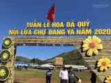 Chính Chủ Bán 1.211M2 Đất Sẵn Sổ Khu Lễ Hội Hoa Dã Quỳ Núi Lửa Chư Đăng Ya - ảnh 4