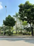 Đất Thổ Cư Kim Giang, Dt58m2, Mt4.4m, 23.9 Tỷ Thanh Trì - Ảnh 4