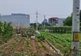 Lô Đất Hiếm Lại Yên, Hoài Đức – Gần Hồ, Đường Ô Tô, Phù Hợp Ở Và Đầu Tư - Ảnh 1