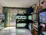 [D2896] Nhà Mt Kd Sát Bv Hoàn Mỹ Thủ Đức, 5.X Tỷ - Ảnh 2
