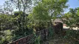 Giá Chưa Đến 2 Tr Trên M2- Địa Chỉ Tại Lai Sơn Trung Giã -Diện Tích 1724 M Khuôn Thửa Đẹp - Ảnh 3