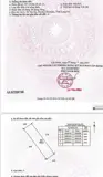 Đầu Tư Sinh Lời - Chính Chủ Bán Trọn 3 Thửa Đất Thuộc Xã Tân Ân, Cần Đước, Long An - Ảnh 4