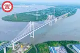 [Siêu Phẩm Đầu Tư] Bán 10.000M² Đất Cù Lao Sông Soài Rạp (Cù Lao Bà Tổng) - Ảnh 4
