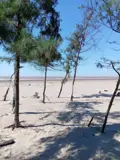 –2 Tỷ – Đón Sóng Đất Biển Hải Xuân: Đi Trước Một Bước, Chọn Lô Đẹp Trước! Mua Đất – Đón Cả Dòn - ảnh 2
