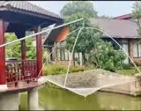Cho Thuê Hoặc Bán Biệt Thự Nhà Vườn Mặt Tiền Đường Long Thuận - Ảnh 1