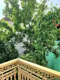 Cho Thuê Căn Hộ Full Nội Thất – 60M² Tại Hai Bà Trưng, Hà Nội - Ảnh 3