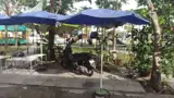 Đất Đẹp – Giá Tốt – Chính Chủ Cần Bán Nhà Mặt Tiền – Xã Bình Hòa, Huyện Châu Thành, An Giang - Ảnh 4