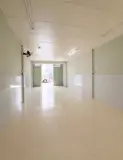 Hồng Lạc Bàu Cát Tân Bình - 87M² Nở Hậu 6.2M - Đường 8M - Kinh Doanh - Ảnh 2