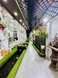 Bán Nhà Biệt Thự - Hxh 6M Gò Dầu, Giao Tân Quý, 8X20m, 4 Tầng Mới, 4Pn, Chỉ 16,9 Tỷ - Ảnh 5