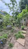 Bán Đất - Hẻm Nhựa 10M Lũy Bán Bích, Gần Âu Cơ - Bàu Cát, 10X15m, Full Thổ, Sổ A4, 15 Tỷ - Ảnh 3