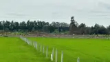 Ngộp Cắt Lỗ! 6.000M² Đất Củ Chi Chỉ 1 Triệu/m² – Giá Chốt 6 Tỷ - Ảnh 3