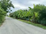 Ngộp Cắt Lỗ! 6.000M² Đất Củ Chi Chỉ 1 Triệu/m² – Giá Chốt 6 Tỷ - Ảnh 5
