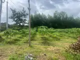  Đầu Tư Sinh Lời - Chính Chủ Bán Lô Đất Mặt Tiền Xã Ngãi Giao, Tp Hồ Chí Minh - Ảnh 5
