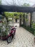 Mặt Tiền Mai Hắc Đế – Nhà Đẹp Đón Lộc, Kinh Doanh Hanh Thông - Ảnh 1