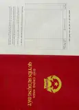 Giảm Giá Cực Sốc: Đất Mặt Tiền Đường Phố Bàu Lách, Xã Phạm Văn Cội - Ảnh 1