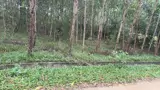 Đầu Tư Sinh Lời - Chính Chủ Cần Bán 2 Lô Liền Kề Khu Vực Tân Lộc, Tân Thủy, Lệ Thủy, Quảng Bình - Ảnh 3