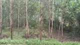 Đầu Tư Sinh Lời - Chính Chủ Cần Bán 2 Lô Liền Kề Khu Vực Tân Lộc, Tân Thủy, Lệ Thủy, Quảng Bình - Ảnh 5