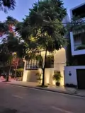 Bán Biệt Thự Mặt Phố Dịch Vọng: 215m2, Kinh Doanh/Văn Phòng, Giá Cao
