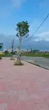 Chính Chủ Bán Liền Kề 100m2 Đường 24m Cienco5 Mê Linh - Giá 6x