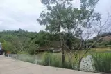 Chính Chủ Cho Thuê Đất 5.272M² (Có 400M² Thổ Cư) Tại Xã Như Xuân, Hỗ Trợ Cải Tạo
