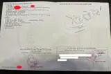 Căn Biệt Thự Mini Khu Phố Yên Tĩnh, Dân Trí Văn Minh, Phù Hợp An Dưỡng