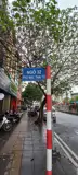 Cho Thuê Nhà Mặt Ngõ, 4 Tầng, Mạc Thái Tổ, Cầu Giấy - Văn Phòng Cao Cấp
