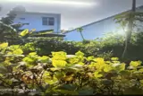 Bán Lô Đất Vàng Sông Hàn Đường Trần Hưng Đạo