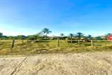 Cơ Hội Vàng! Đất Đẹp Full Thổ, Đón Đầu Làn Sóng Đầu Tư Khu Kinh Tế Vân Phong, Ninh An, Ninh Hòa
