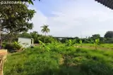 Cơ Hội Vàng – Đầu Tư Sinh Lời Cao Tại Trung Tâm Tây Ninh