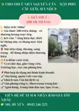 Cho Thuê Nhà Nguyên Căn Mặt Phố Cầu Giấy, Hà Nội - 200 Triệu/Tháng