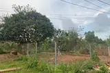 Bán Lô Đất  Tại Phường Tam Long -Tp Hồ Chí Minh (Xã Long Phước -Tp Bà Rịa Cũ)
