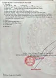 Mt Đường Nhựa Bên Hông Trường Cấp 2 Tóc Tiên