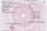 Đất Đẹp - Giá Tốt - Bán Lô Đất Tiềm Năng Đường Số 5, Cam Thành Bắc, Cam Lâm, Khánh Hòa