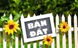 Bán Đất Phố Vị Dương – Mỹ Xá (Phường Thành Nam) – Tp. Nam Định