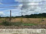 Đất Nền Vi Trí Đẹp. Thuận Lợi Cho Xây Nhà Máy, Thuê Kho Trữ Sầu Riêng