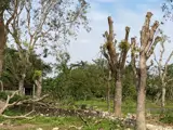 Chủ Chuyển Việc – Bán Gấp Trang Trại Dòng Tiền Siêu Tốt Tại Đông Ph ú , Đông Sơn, Thanh Hóa