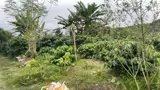 Cần Tiền Chữa Bệnh Cho Mẹ Bán Gấp Đất Tại Xã Hòa Nam, Di Linh, Lâm Đồng