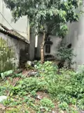 .Thửa Đất Đẹp Giá Hợp Lý- Khu Vực Đại Áng  Đang Phát Triển