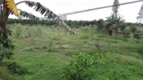 Đất Đẹp- Giá Tốt Cần Bán Nhanh Nền Thổ Cư Mặt Tiền Đường Nhựa Tại Huyện Thanh Bình, Tỉnh Đồng Tháp