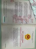 Bán Đất Trung Tâm Phú Mỹ, Brvt – Tặng Mô Hình Cafe + 5 Phòng Trọ, Có Sẵn Dòng Tiền