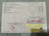 Đất Đẹp - Đầu Tư Sinh Lời - Bán Gấp Lô Đất Tiềm Năng Tại Suối Rao, Châu Đức, Bà Rịa Vũng Tàu