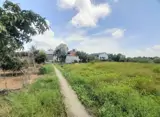 Chủ Bán Thửa Đất Lúa 877M9m2 (Khu Vực Cho Lên Thổ