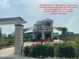 Siêu Phẩm Đầu Tư - Đất Vườn 1Ha - 2.000 Cây Mai - Lợi Nhuận Hấp Dẫn Xã Tân Thành, Thủ Thừa, Long An