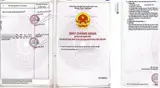 Đất Đẹp - Đầu Tư Sinh Lời - Chính Chủ Bán Nhanh Lô Đất Xã Lý Nhơn, Cần Giờ, Hcm