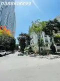 Bán Đất Biệt Thự Vườn Đào - Tây Hồ - View Vườn Hoa - 300M2 - Mt 15M - 162 Tỷ