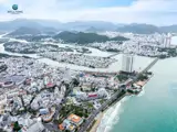 Vì Sao "Sự Chậm Trễ" Của Welltone Lại Là Bảo Chứng Cho Lợi Nhuận Trong Năm 2026