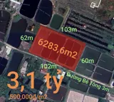 Bán Gấp Lô Lúa Chuyển Thổ Phân Lô Giá Đầu Tư 3,1 Tỷ