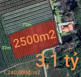Bán Lô Đất Lúa Chuyển Thổ Xã Vàm Cỏ Gần Quốc Lộ 50B Giá 3,1 Tỷ