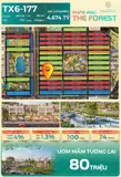 Nhỉnh 800 Triệu Có Ngay Siêu Phẩm Liền Kề Tx6-177 The Forest – Vinhomes Green City