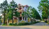 Sở Hữu Biệt Thự 400M2 The Phoenix Garden Đan Phượng - Đà Lạt Thu Nhỏ Giữa Lòng Khu Tây Hà Nội